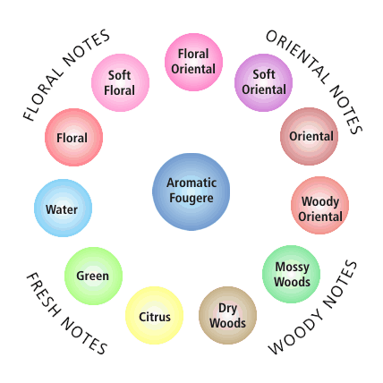 The Beauty of Fragrance feat. The use of Fragrance Wheel