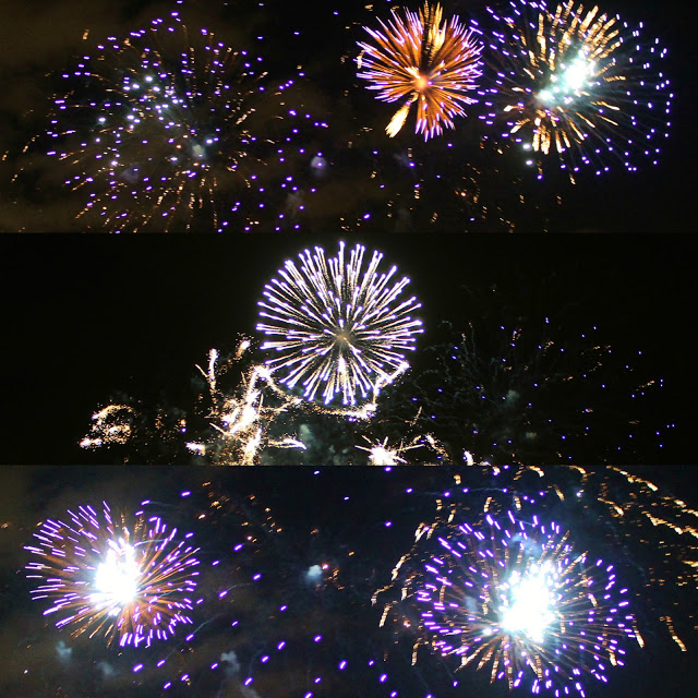 Battersea Park Fireworks Display 2013 Experience  