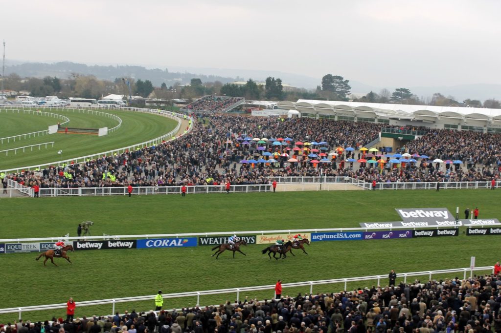 A VIP Experience at Cheltenham Festival Ladies Day 2015