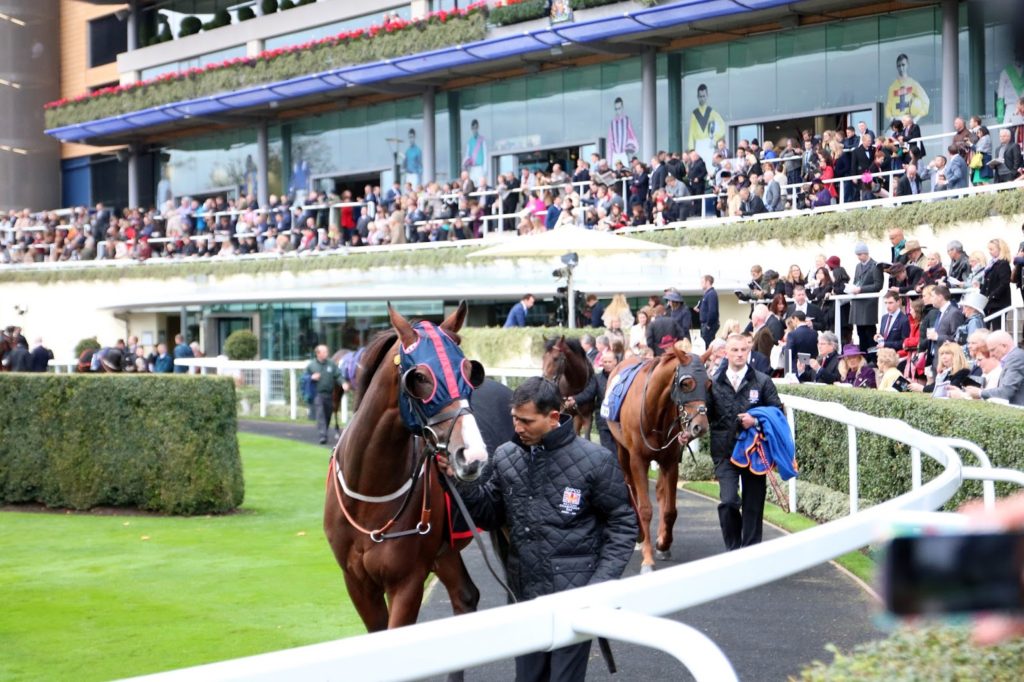 An Afternoon at Ascot with Ladbrokes - Champions Day