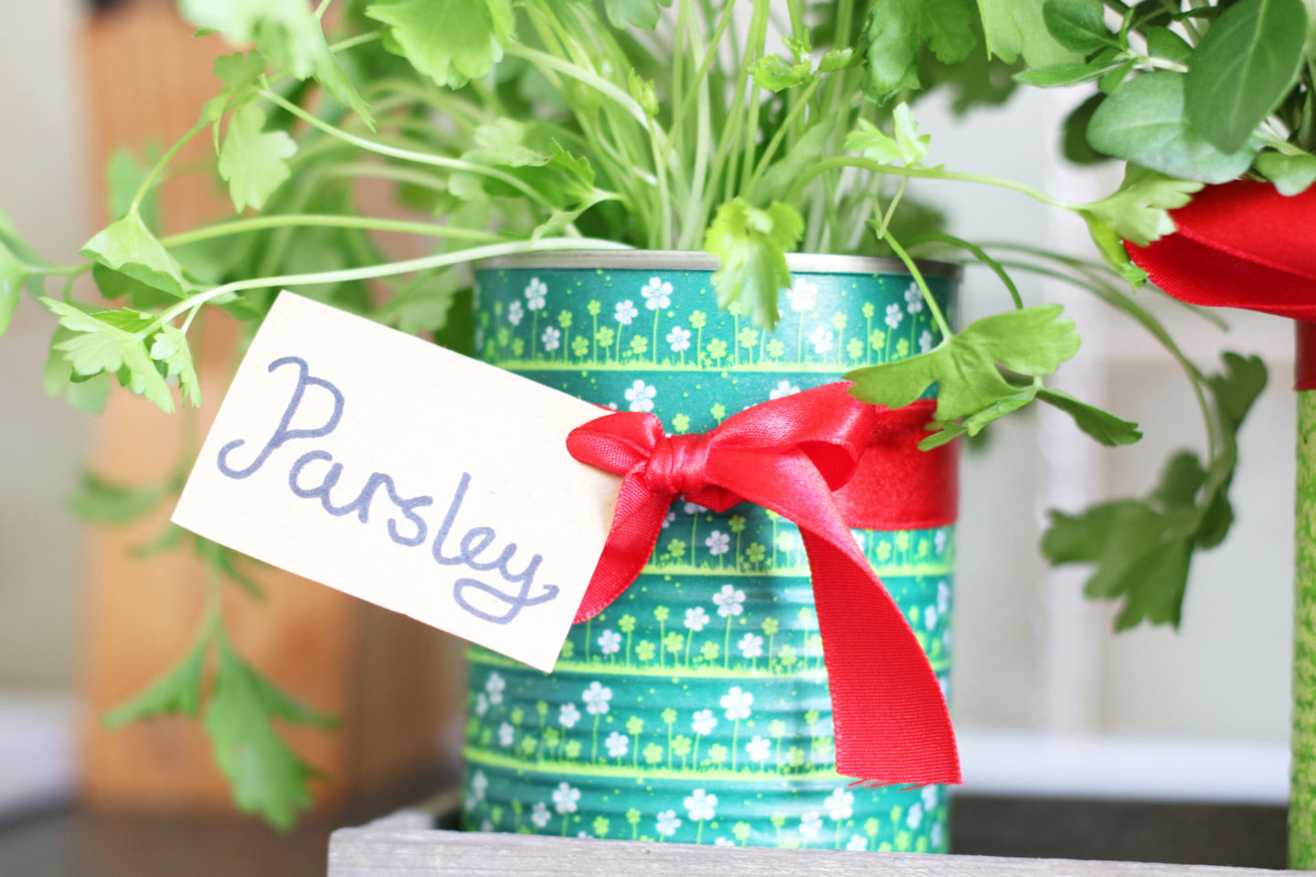 Herb Pot DIY - 3 Simple Upcycling Projects for British Flower Week. From Metal Cans to Herb Garden