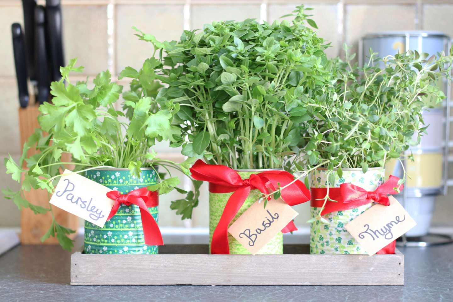 Herb Pot DIY - 3 Simple Upcycling Projects for British Flower Week. From Metal Cans to Herb Garden
