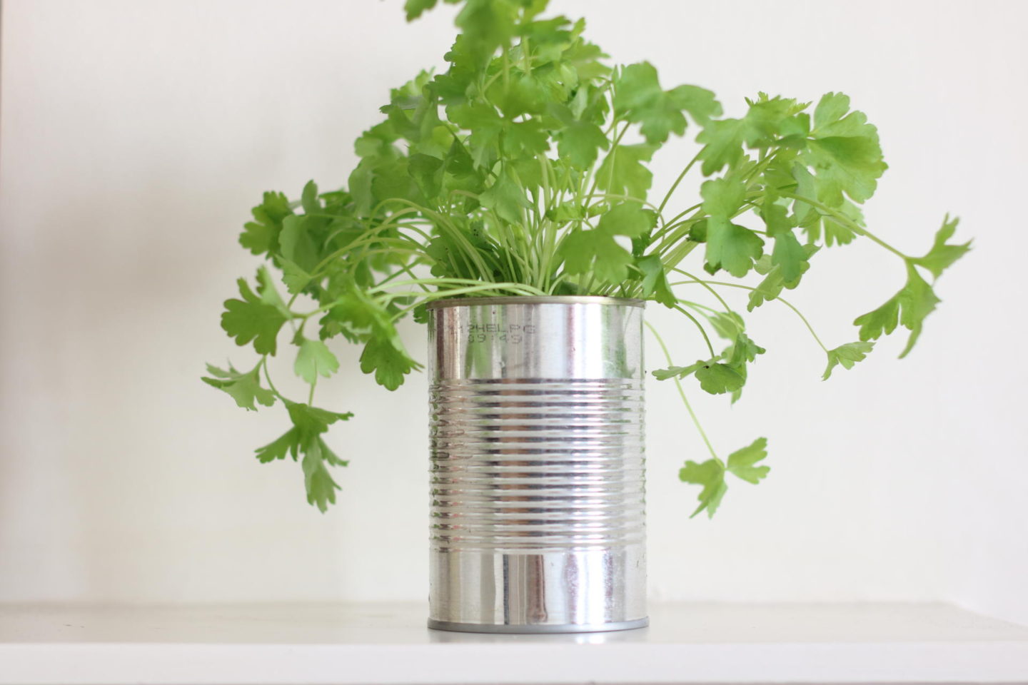 Herb Pot DIY - 3 Simple Upcycling Projects for British Flower Week. From Metal Cans to Herb Garden